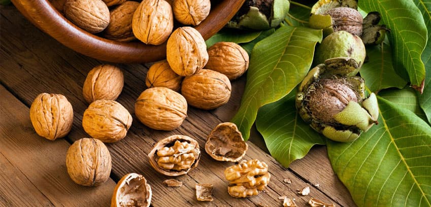 7 Top Reasons to Eat Walnuts