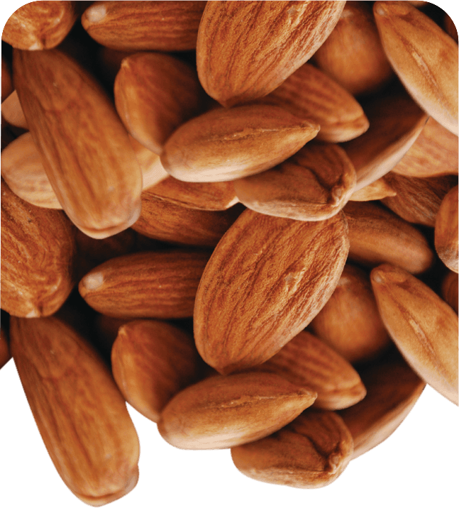 Anjoman KG Almond Raw