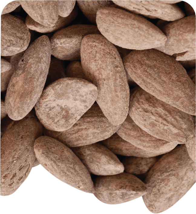 Anjoman Almond Salted 700 G