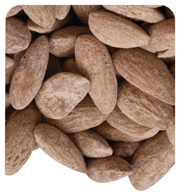 Anjoman KG Almond Salted&Roasted