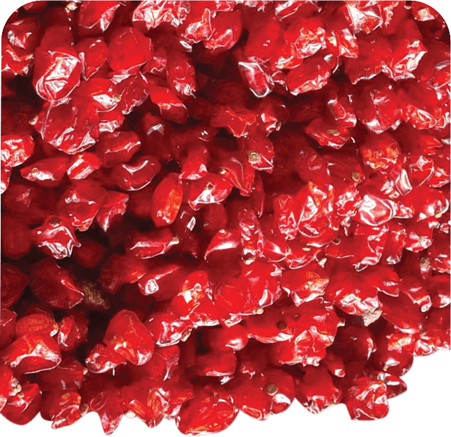 Anjoman KG Barberries