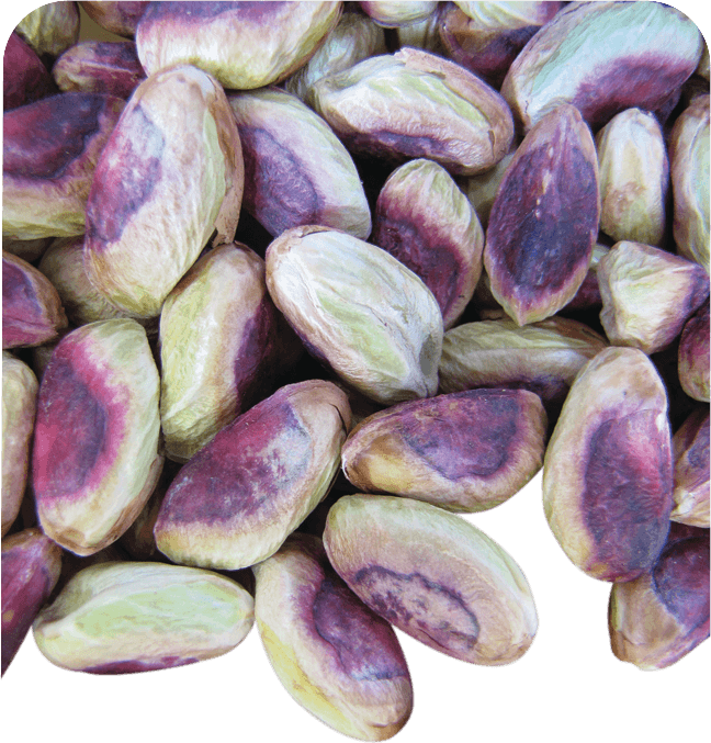 Anjoman KG Kernal Pistachio