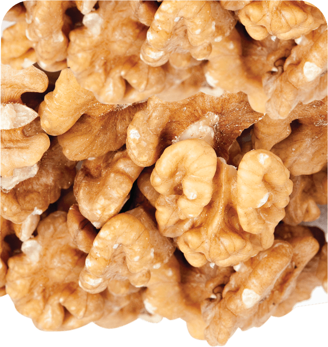 Anjoman KG Walnuts PREMIUM