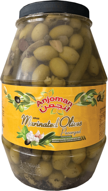 Anjoman (1 x 3.3 LIT) PASARGAD Mix Olive