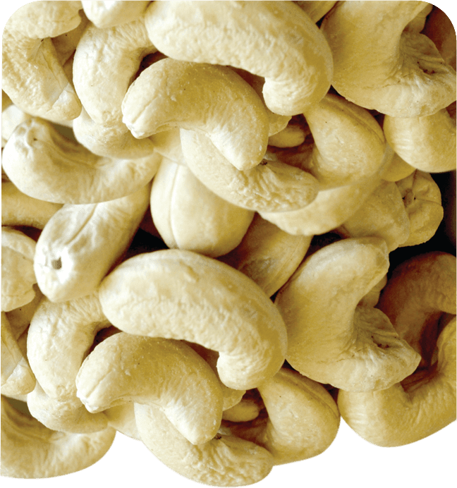 Anjoman KG Cashew Nuts Raw