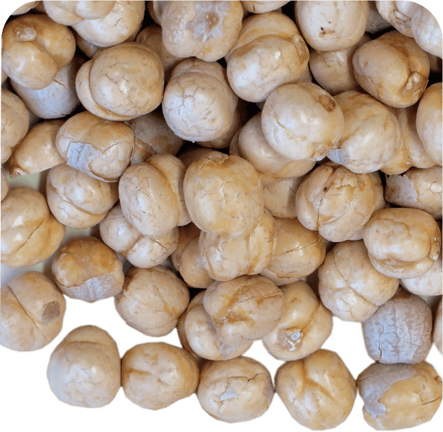 Anjoman KG Chickpeas Raw
