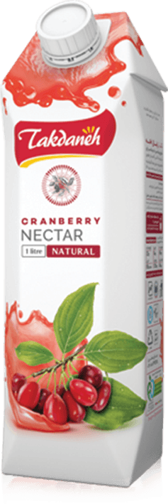 TAKDANEH Cranberry Juice 12 x 1 L