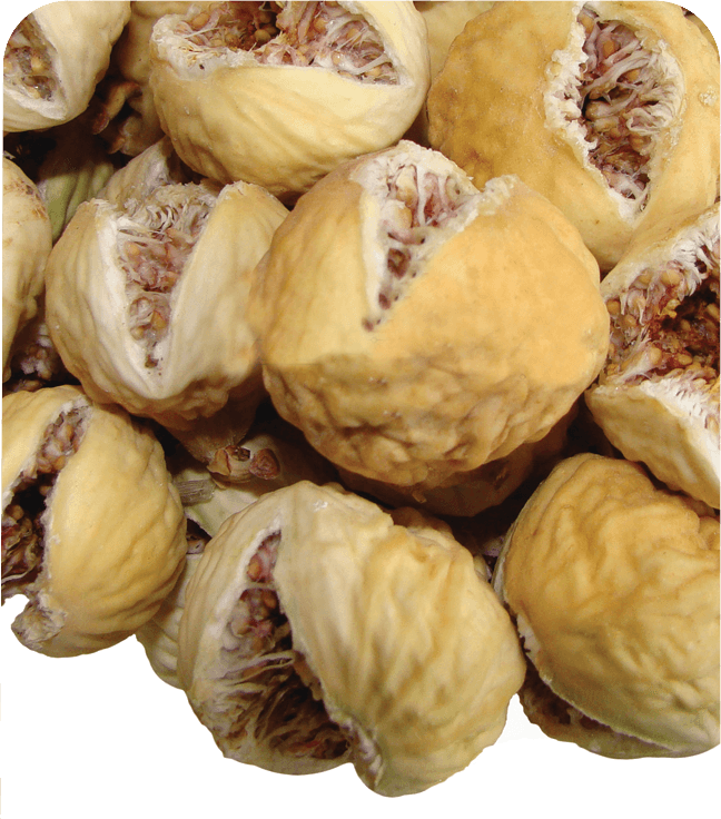 Anjoman KG Dried Figs