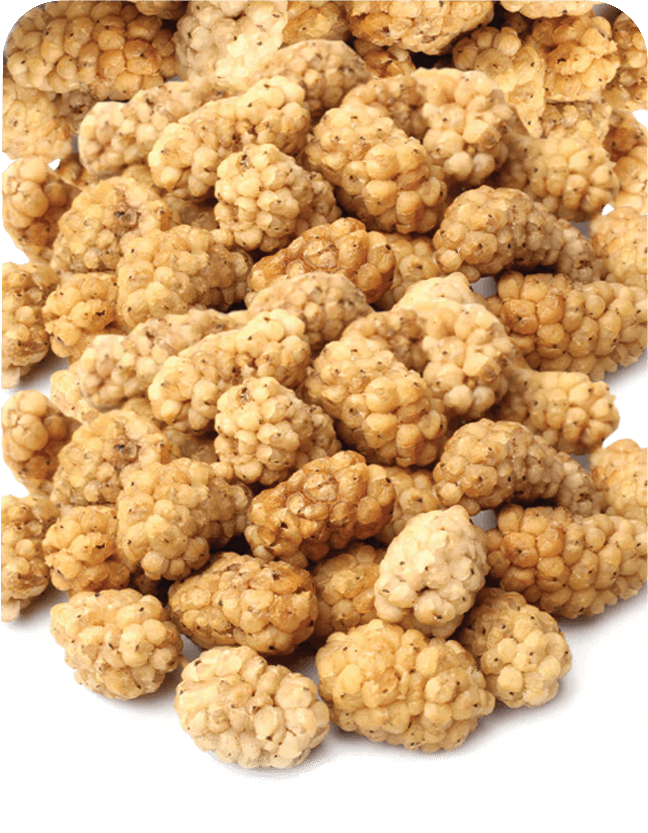 Anjoman KG Dried Mulberries