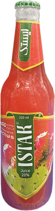 ISTAK CACTUS 12 x 325 ml