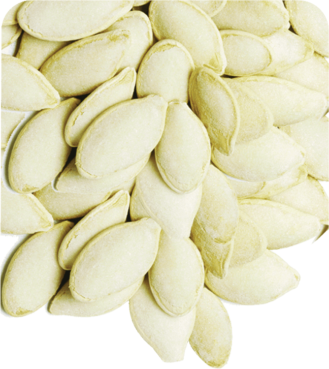 Anjoman KG Jumbo Pumpkin Seeds