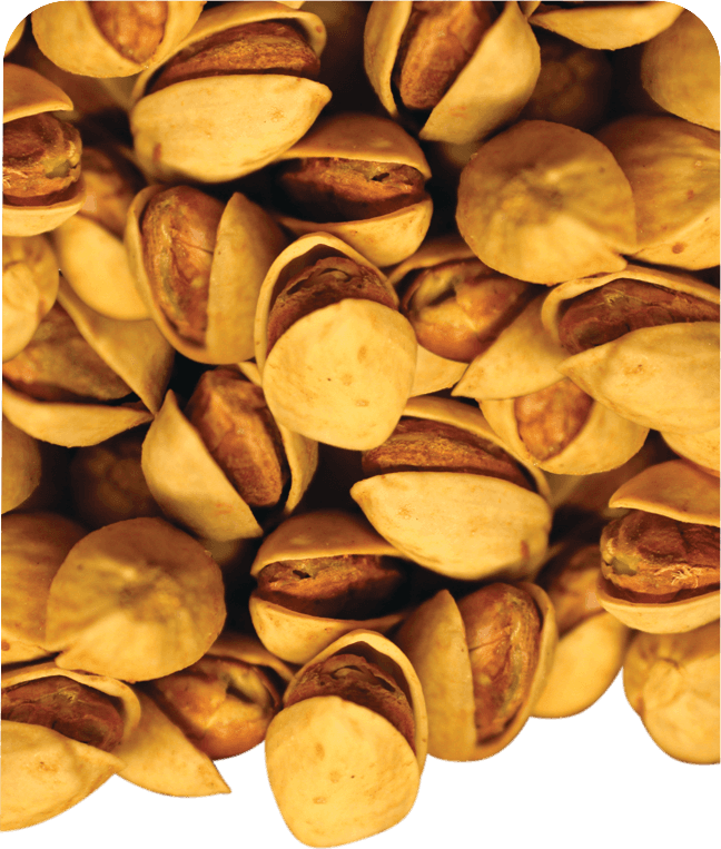 Anjoman KG Pistachio Lemon&Roasted