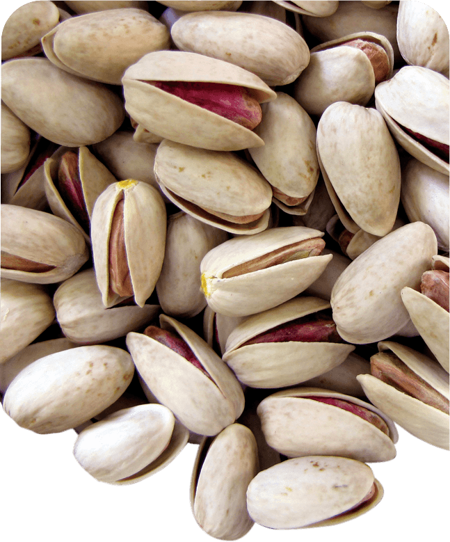 Anjoman KG Pistachio Raw