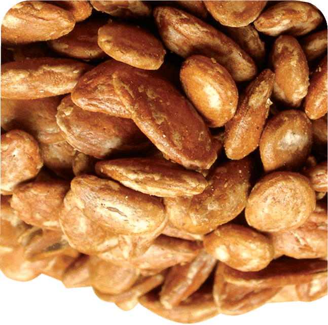 Anjoman KG Red Melon Seeds